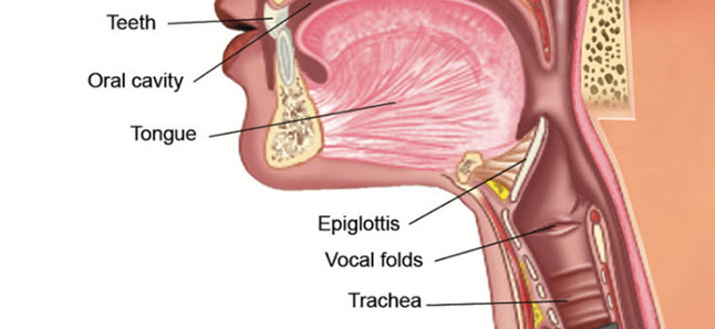 Egent Centers for Ear, Nose and throat. Vocal cord surgery 2